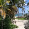Palmenstrand - plage avec des cocotiers
